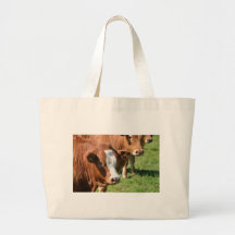 Cattle in the Isles of Scilly Bags