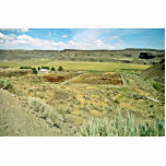 Cattle Ranch Below The Mesas photo sculptures