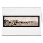 Cattle Ranching AZ Photo 1912 cards
