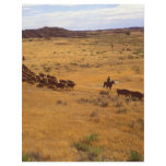 Cattle roundup flyers