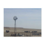Cattle,Windmill and Ghost postcards