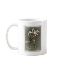 Cattleya Arnoldiana Orchid Mug
