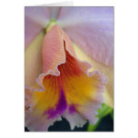 Cattleya Orchid Card