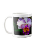 Cattleya Orchid - White/Purple/Yellow Mugs