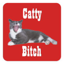 Catty Bitch