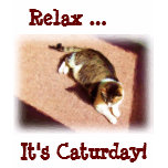 Caturday t-shirt