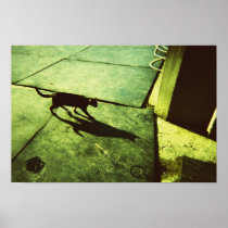 Catz Shadow Posters