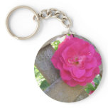 Caught in the Fence Keychains
