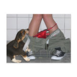 Caught with My Pants Down Again, Cute Puppy Dog postcards