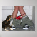 Caught with My Pants Down Again, Cute Puppy Dog posters
