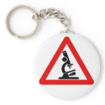 Caution:  SCIENCE! Keychains