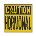 Caution Sign - Hormonal Yellow/Black Magnets