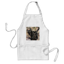 Cautious Star Noir Cat Apron