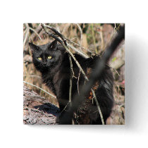 Cautious Star Noir Cat Pinback Button