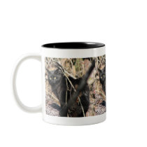 Cautious Star Noir Cat Mug