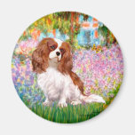 Cavalier 2 (Bl) - Garden (M) Fridge Magnet