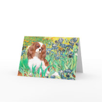 Cavalier 2 (Bl) - Irises Greeting Cards