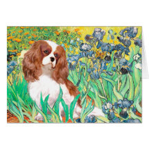 Cavalier 2 (Bl) - Irises Greeting Cards