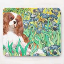 Cavalier 2 (Bl) - Irises Mouse Pad