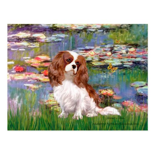 Cavalier 2 (bl) - Lilies 2 Postcards