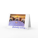Cavalier Birthday Wishes Cards