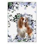 Cavalier  Card