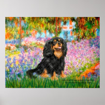 Cavalier King Charles (black and tan)- Garden Posters