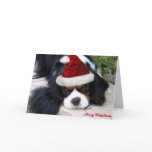 Cavalier King Charles Christmas card