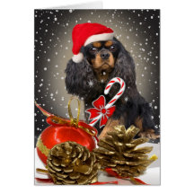 Cavalier King Charles Christmas card
