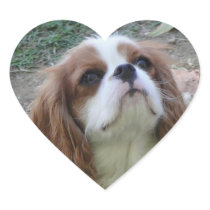 Cavalier King Charles cute puppy dog heart sticker