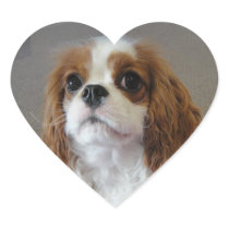 Cavalier King Charles cute puppy dog heart sticker