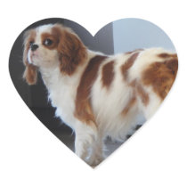 Cavalier King Charles cute puppy dog heart sticker