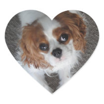 Cavalier King Charles cute puppy dog heart sticker
