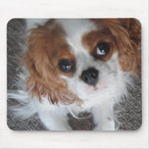 Cavalier King Charles cute puppy dog mousepad