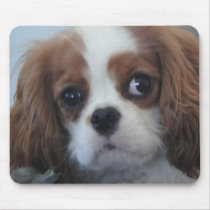 Cavalier King Charles cute puppy dog mousepad
