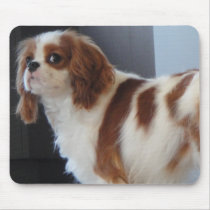 Cavalier King Charles cute puppy dog mousepad