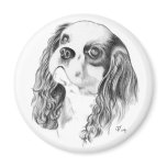 Cavalier King Charles Drawing magnets