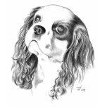 Cavalier King Charles Drawing t-shirts
