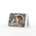 Cavalier King Charles Spaniel 8R16D-01 cards