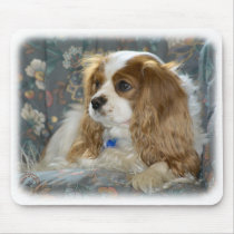 Cavalier King Charles Spaniel 8R16D-01 Mouse Pads