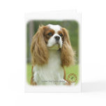 Cavalier King Charles Spaniel 9F097D-08 cards