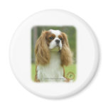 Cavalier King Charles Spaniel 9F097D-08 magnets