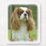 Cavalier King Charles Spaniel 9F097D-08 mousepads