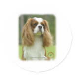 Cavalier King Charles Spaniel 9F097D-08 stickers
