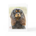 Cavalier King Charles Spaniel 9F51D-03 cards