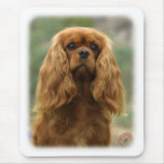 Cavalier King Charles Spaniel 9F51D-10 mousepads