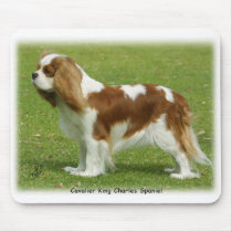 Cavalier King Charles Spaniel 9J001D-06 Mouse Mats