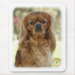 Cavalier King Charles Spaniel 9K027D-13 mousepads
