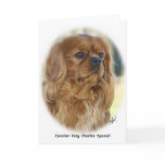 Cavalier King Charles Spaniel 9K27D-17 cards