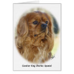 Cavalier King Charles Spaniel 9K27D-17 Greeting Card